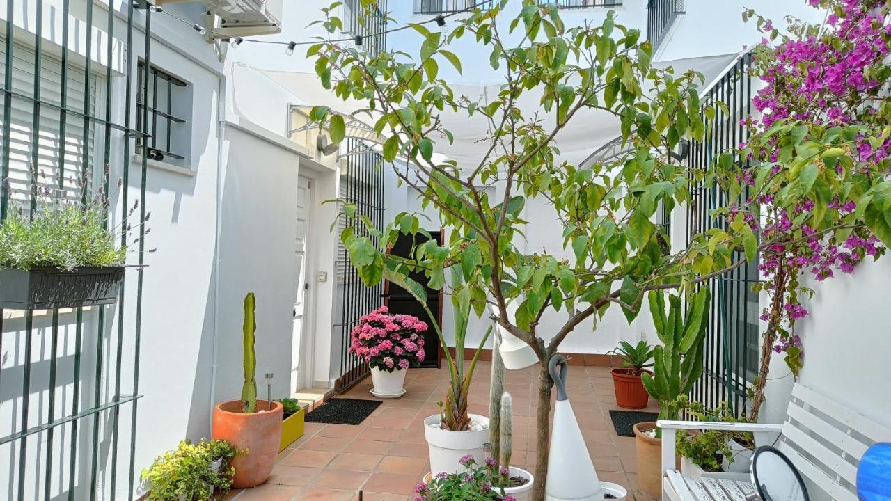 Moderno Apartamento Junto A La Playa 桑卢卡尔-德巴拉梅达 外观 照片